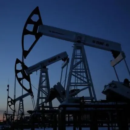 Oil falls on demand growth concerns, robust dollar