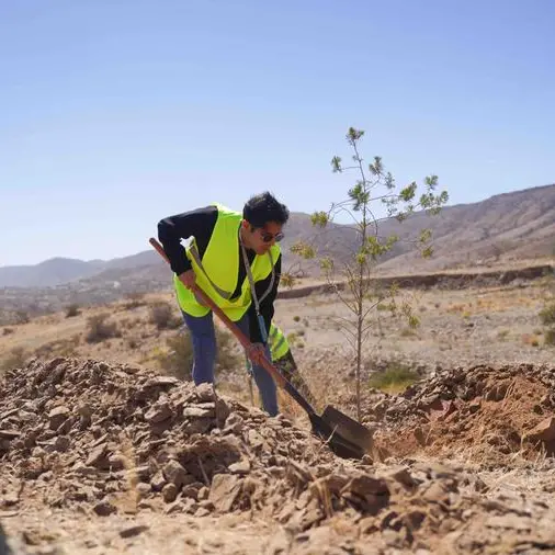 Saudi Arabia calls for strengthening regional collaboration to protect environment and enhance vegetation cover