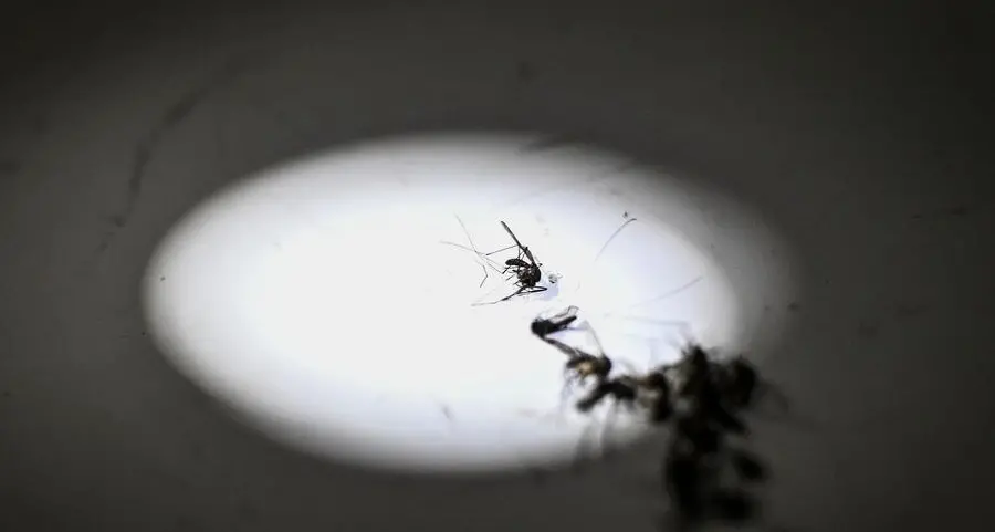 Croatia targets latest climate-change threat: mosquitoes