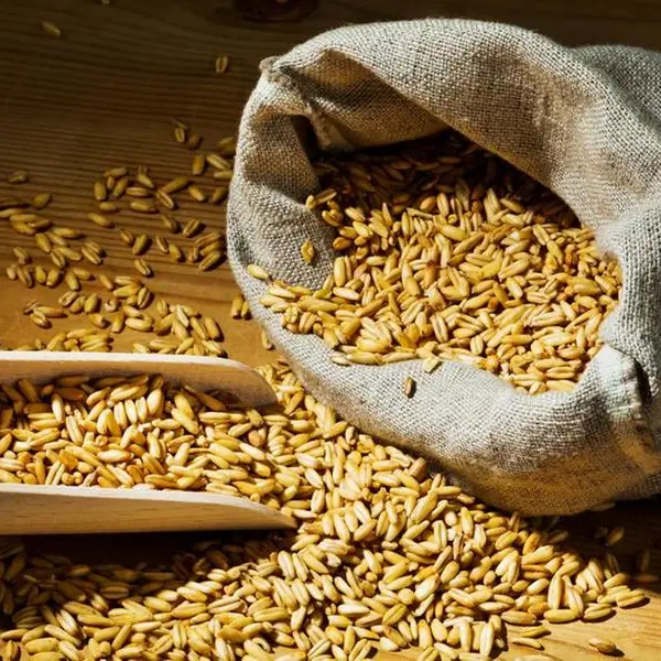 مصر تستهدف صادرات زراعية بـ 3.6 مليار دولار العام المقبل