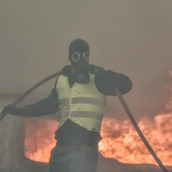 Greece blaze is 'largest wildfire ever recorded in EU'