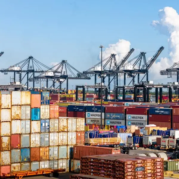 What Trump 2.0 could mean for trade, migrants, climate change and electric cars