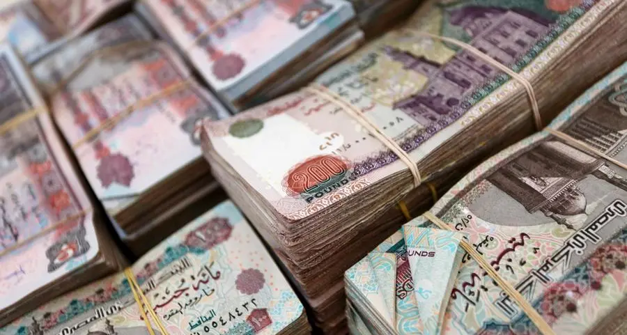 Egypt faces dilemma over its currency policy: Goldman Sachs