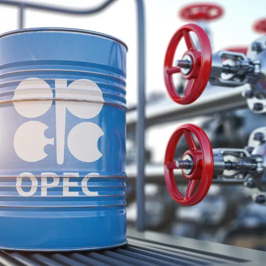OPEC's new $100mln funding to help infrastructure projects worldwide