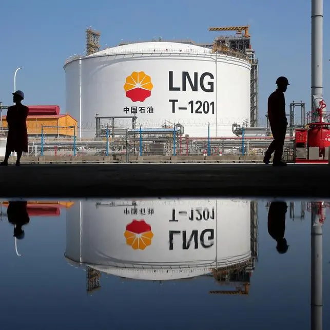 China's LNG imports set to slow: Kemp