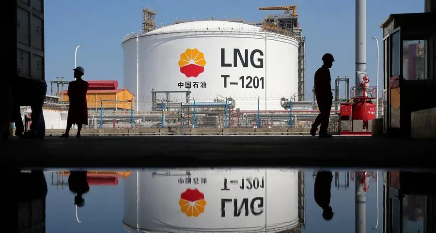 China's LNG imports set to slow: Kemp