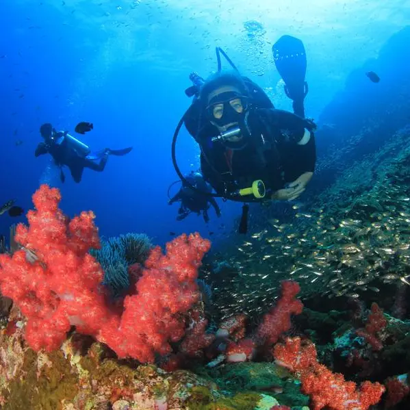 Blue Reef Diver receives prestigious PADI EMEA Gold Professional Development Excellence Award for 2024