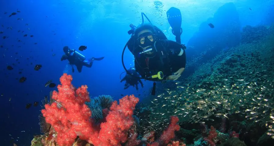 Blue Reef Diver receives prestigious PADI EMEA Gold Professional Development Excellence Award for 2024