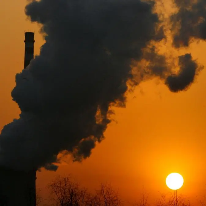 Around a third of carbon credits fail new benchmark test
