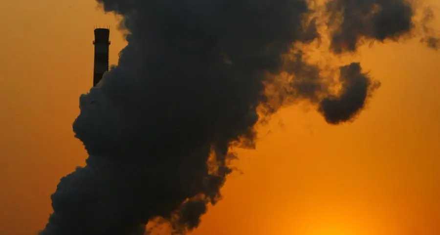 Around a third of carbon credits fail new benchmark test