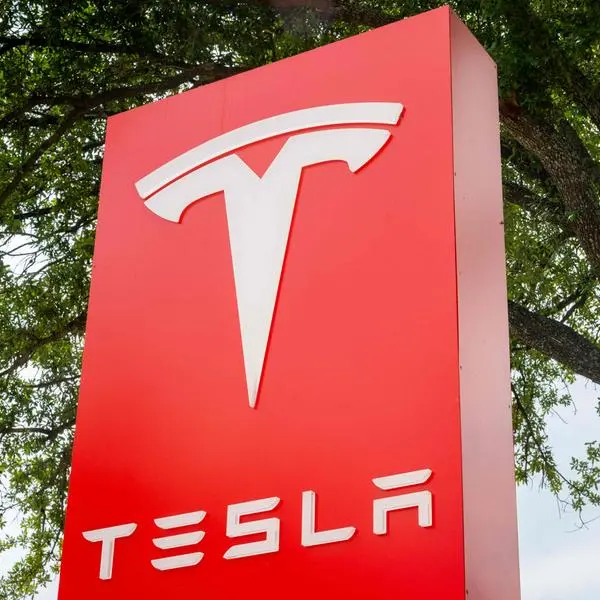 Tesla profits tumble but shares rise on new vehicle plan