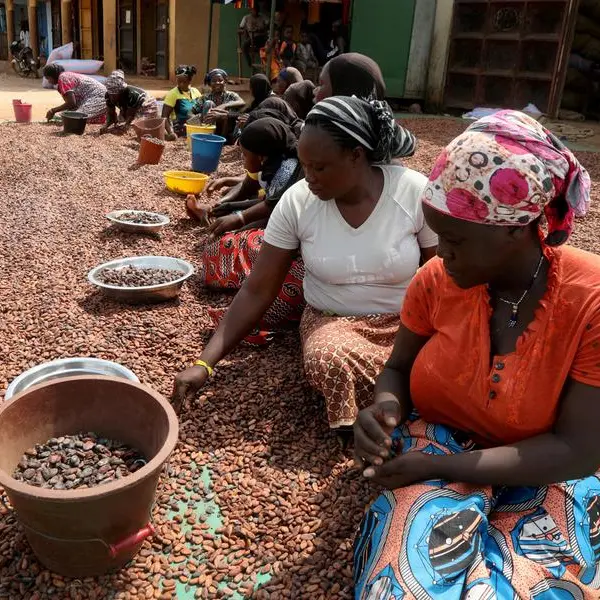 Ivory Coast rainfall not enough for some cocoa farmers
