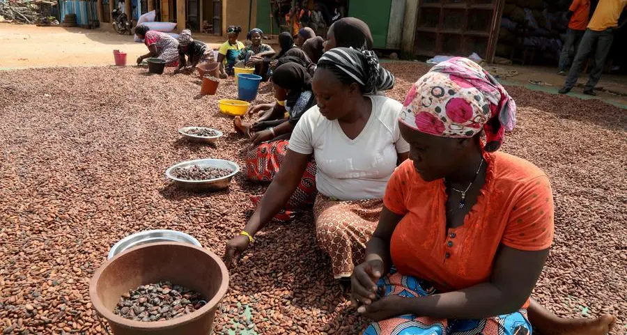 Ivory Coast rainfall not enough for some cocoa farmers