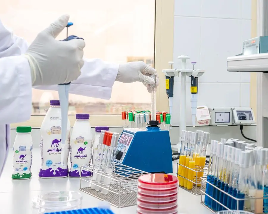 The global market size for camel milk products market size is estimated to reach $23.02 billion by 2031. Image courtesy: Camelicious.