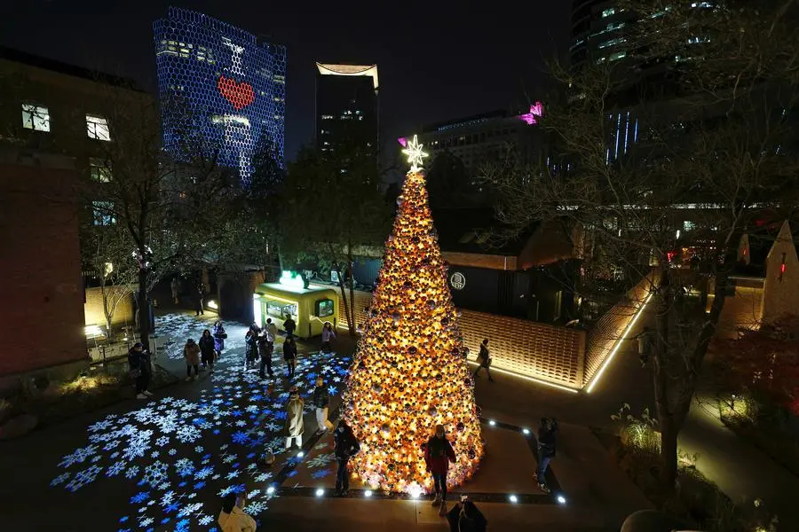 People visit a giant lighting installation of a Christmas tree in Beijing, China December 4, 2023. REUTERS/Tingshu Wang