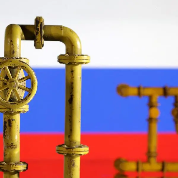 Russia cuts oil price forecast to $65 per barrel in 2024-2027