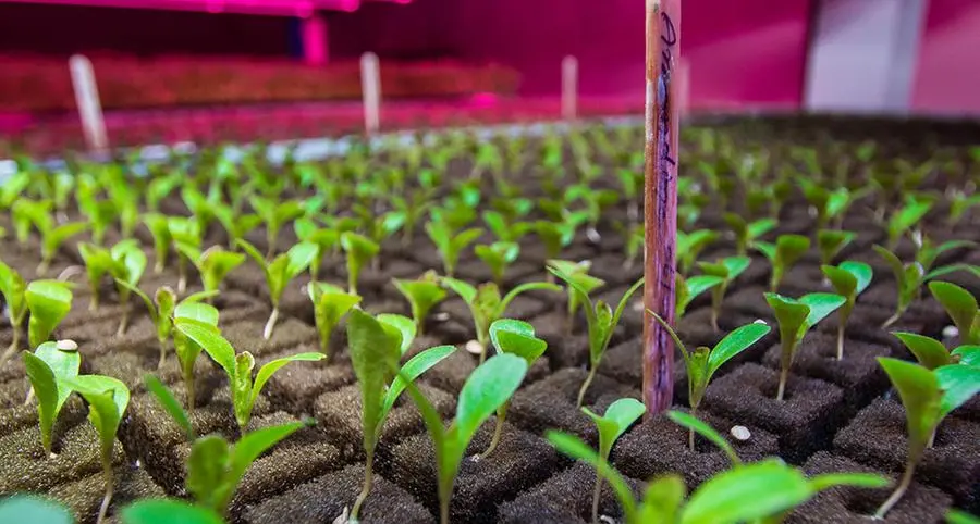 Edamah and Badia Farms partner on innovative agricultural project