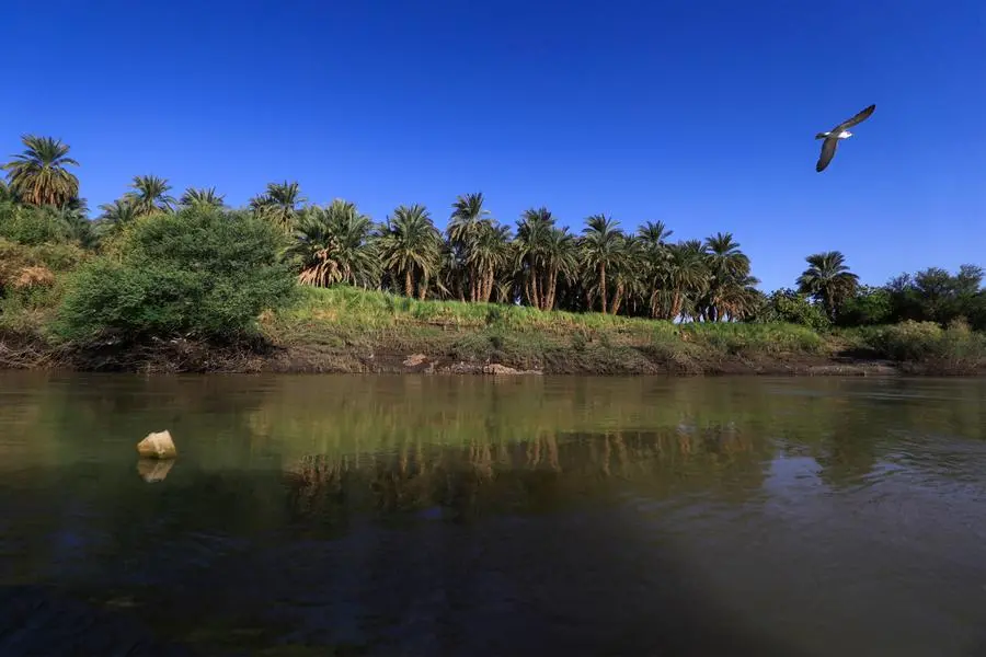 The Nile is in mortal danger, from its source to the sea