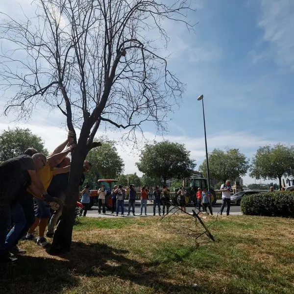 Fruit growers arrested for using illegal wells in drought-hit Spain