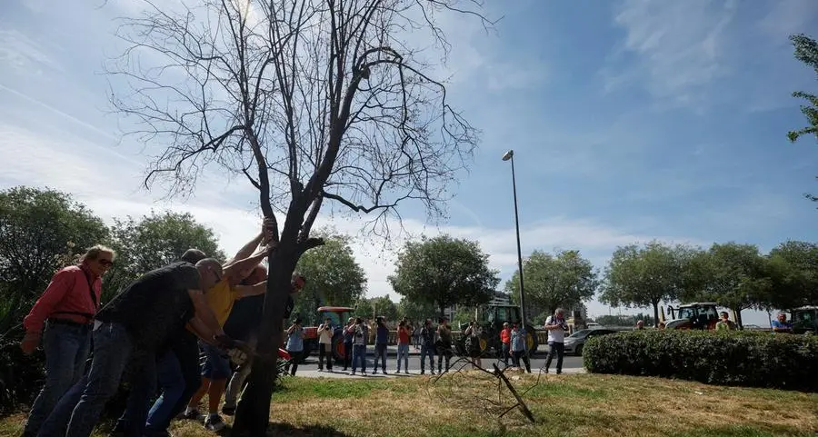 Fruit growers arrested for using illegal wells in drought-hit Spain