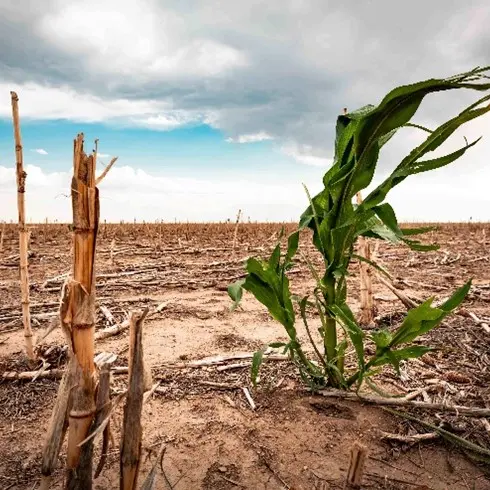 Partners brace to respond to one of the worst droughts in southern Africa