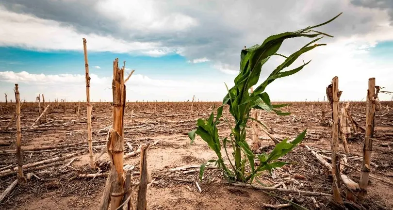Partners brace to respond to one of the worst droughts in southern Africa