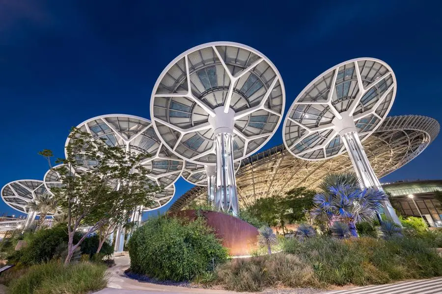 shutterstock/Shutterstock