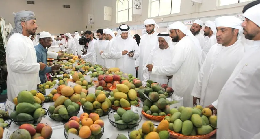 3rd Mango Festival 2024 kicks off at Expo Khor Fakkan with participation of over 30 farmers