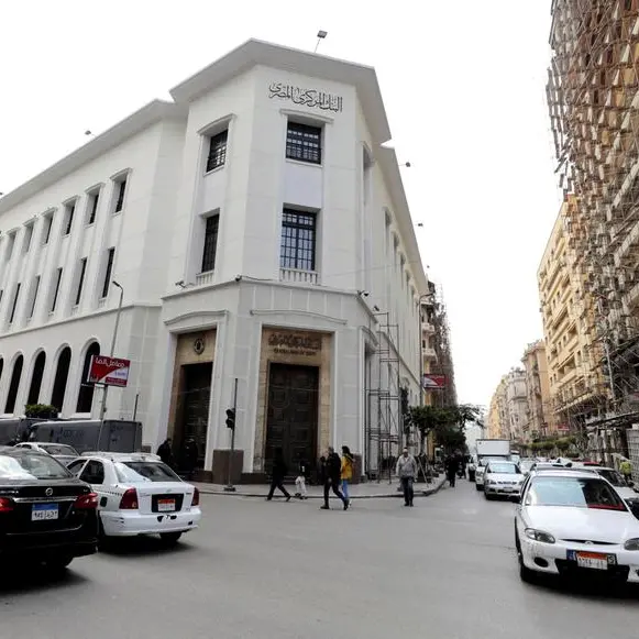 Egypt's M2 money supply up 20.895% year-on-year in October -central bank