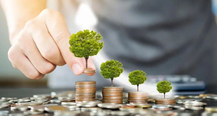 Cameroon publishes sustainable finance framework