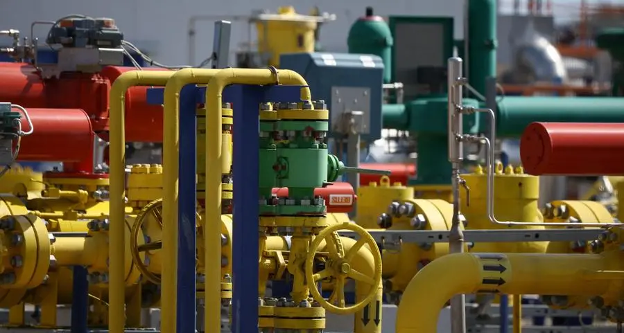 Polish pipeline operator PERN says leak detected in Druzhba oil pipeline