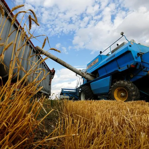 Russia is using grain as ammunition, says Polish minister