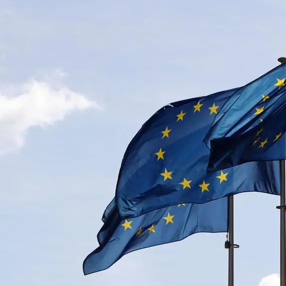 EU says Georgia has to meet conditions before becoming membership candidate