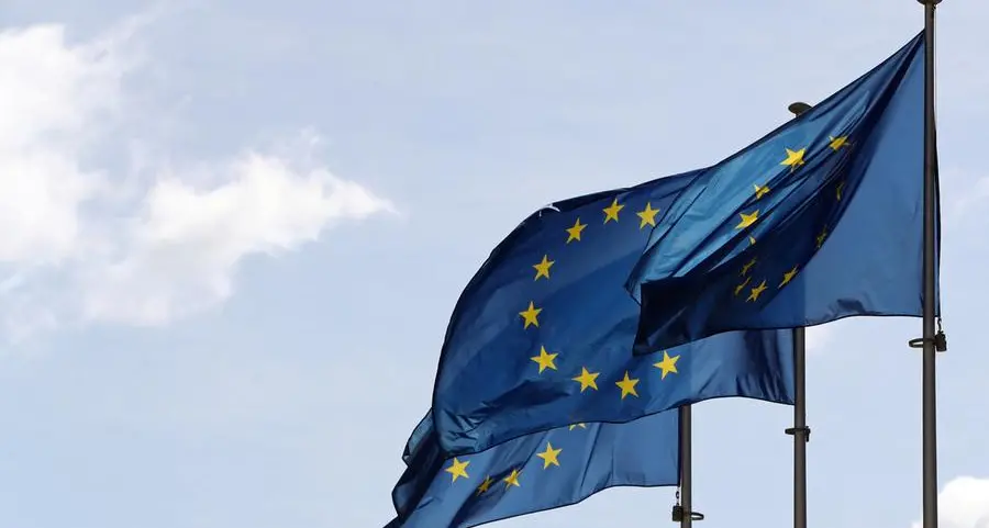 European Parliament \"firmly behind\" Ukraine's EU candidate bid - President Metsola