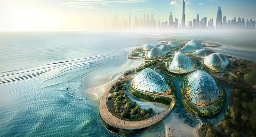 Dubai's beach sands could go green with 100 million mangrove trees in 72km project