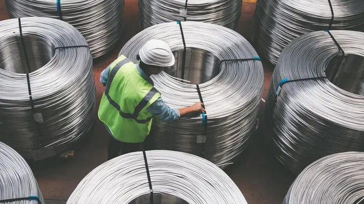 LEONI Egypt to establish cable harnesses factory in Robbiki city