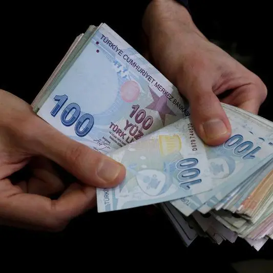 Goldman Sachs sees Turkish lira slip to 28.00 versus dollar in 12 months