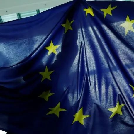 Lies, deceit to weigh heavily on EU vote, warns parliament head