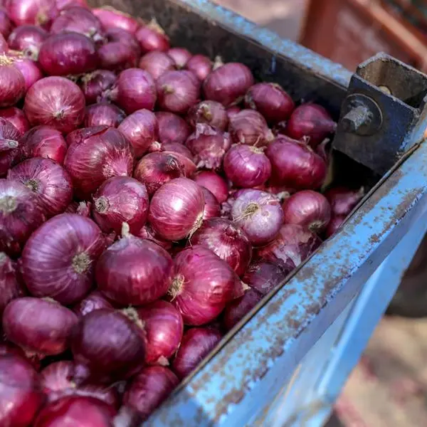 Egypt bans export of onion until end-2023