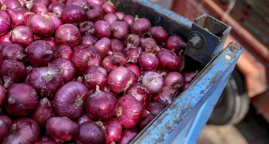 Egypt bans export of onion until end-2023