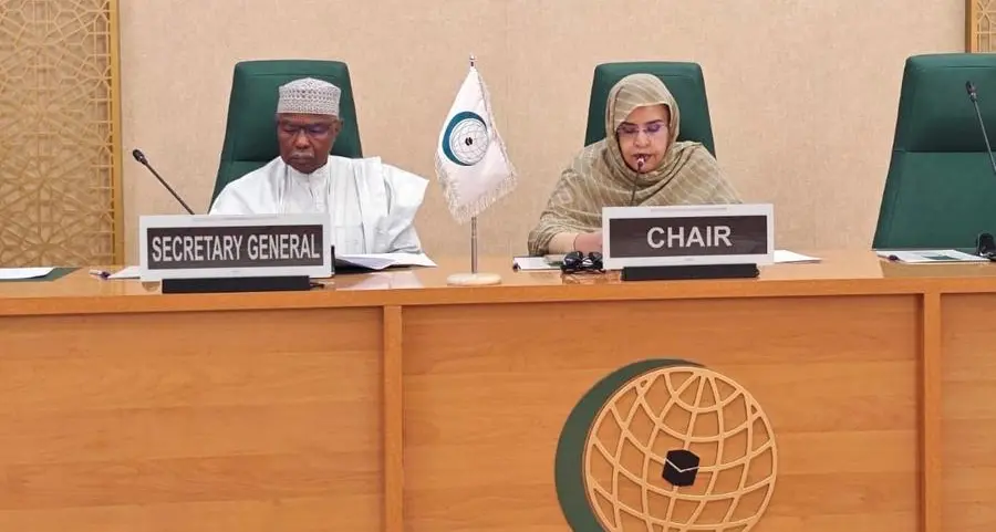 OIC considers establishment of a fund for youth support and employment in the Sahel Region and Lake Chad Basin