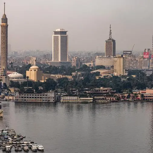 Egyptian non-oil sector sees 1st sales growth in nearly 3 years