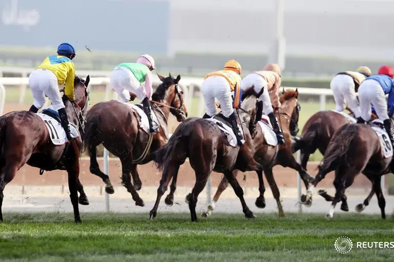 Dubai World Cup 2023: Prize money, race card and how to watch in UAE