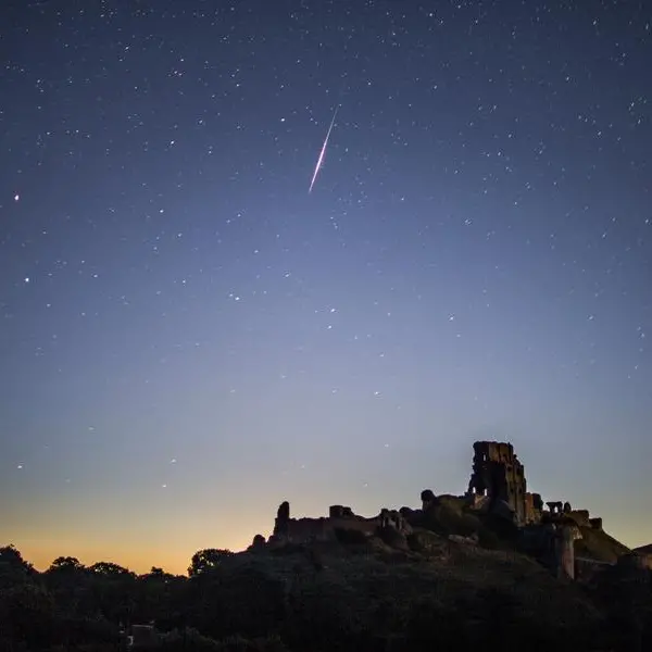 'I saw 103 shooting stars': UAE skies light up with Geminids meteor shower