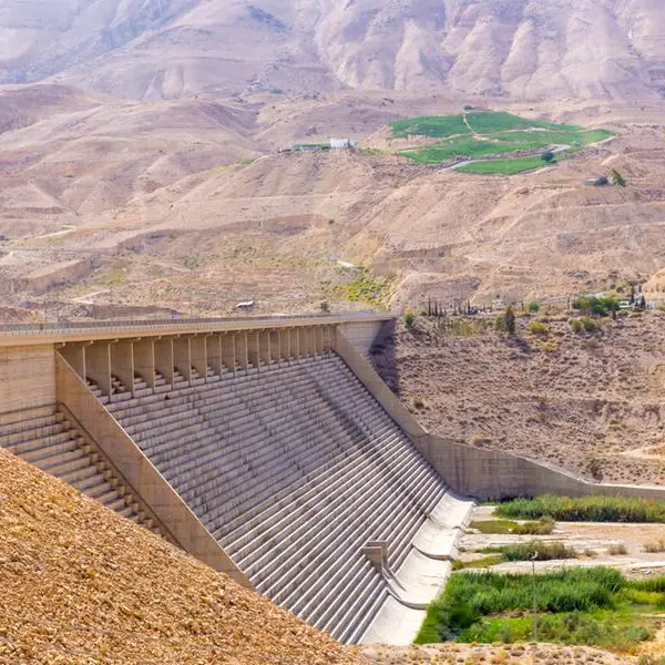 Recent rainfall raises dam storage to 47.33% — Jordan