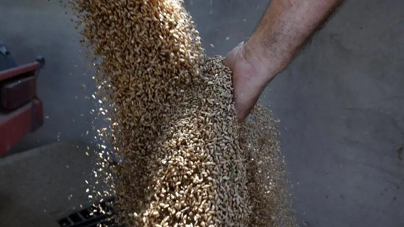 Chicago soybeans, corn edge higher as crude oil firms