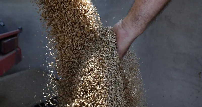 Chicago soybeans, corn edge higher as crude oil firms