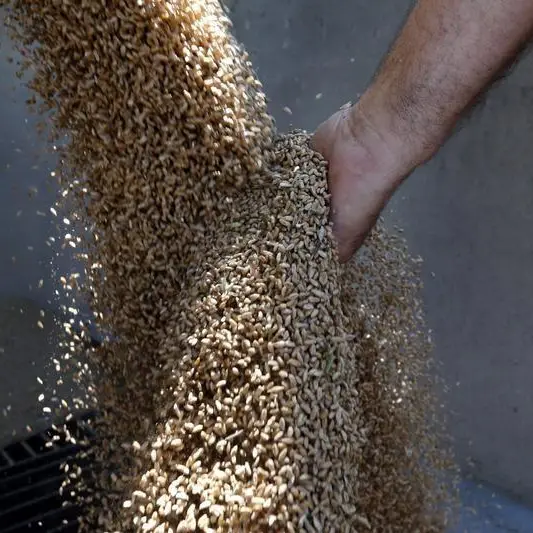 Wheat rises 1%, Brazilian floods limit decline in soybean prices