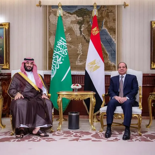 Saudi - Egyptian meeting discusses shared visions for strategic relationship