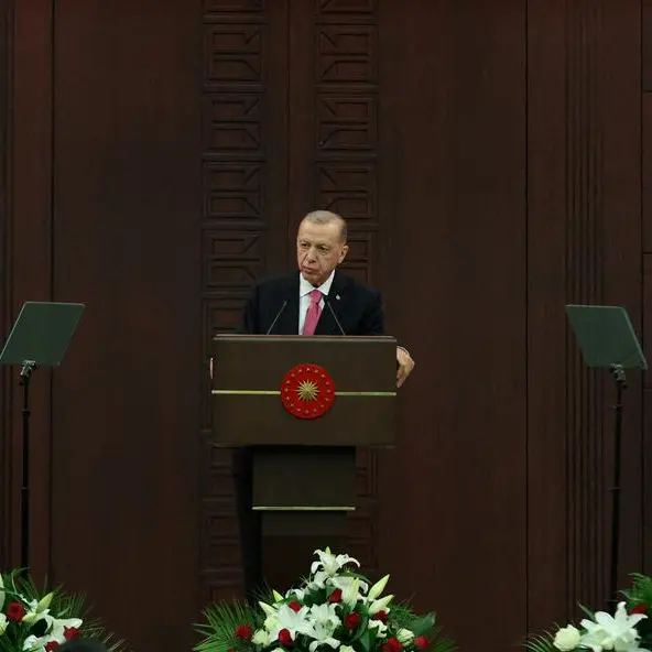 Erdogan and Scholz held phone call, discussed Sweden's NATO bid